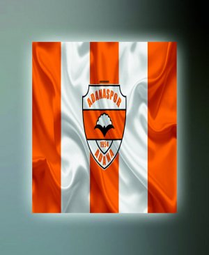 ADANASPOR TABLO (kanvas) 3