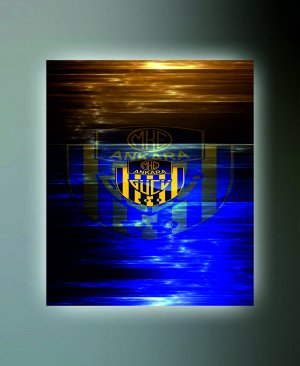 ANKARAGÜCÜ TABLO 03 50X70