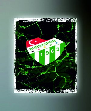 BURSASPOR TABLO 02 50X70