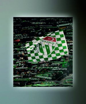 BURSASPOR TABLO 03 50X70