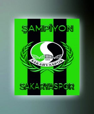SAKARYASPOR TABLO (kanvas) 3