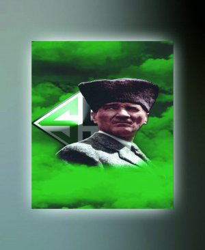 SAKARYASPOR TABLO (kanvas) 5