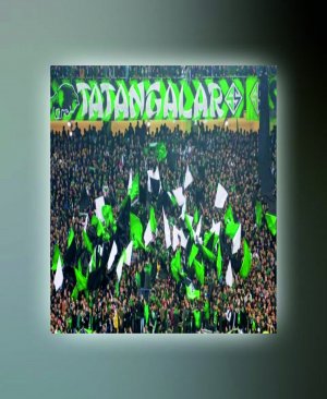 SAKARYASPOR TABLO TATANGALAR (kanvas) 6