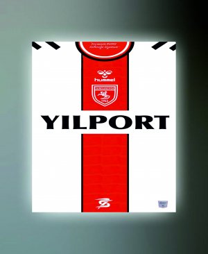 SAMSUNSPOR TABLO (kanvas) 2