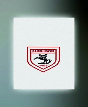 SAMSUNSPOR TABLO (kanvas) 3