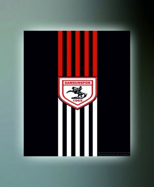 SAMSUNSPOR TABLO (kanvas) 5