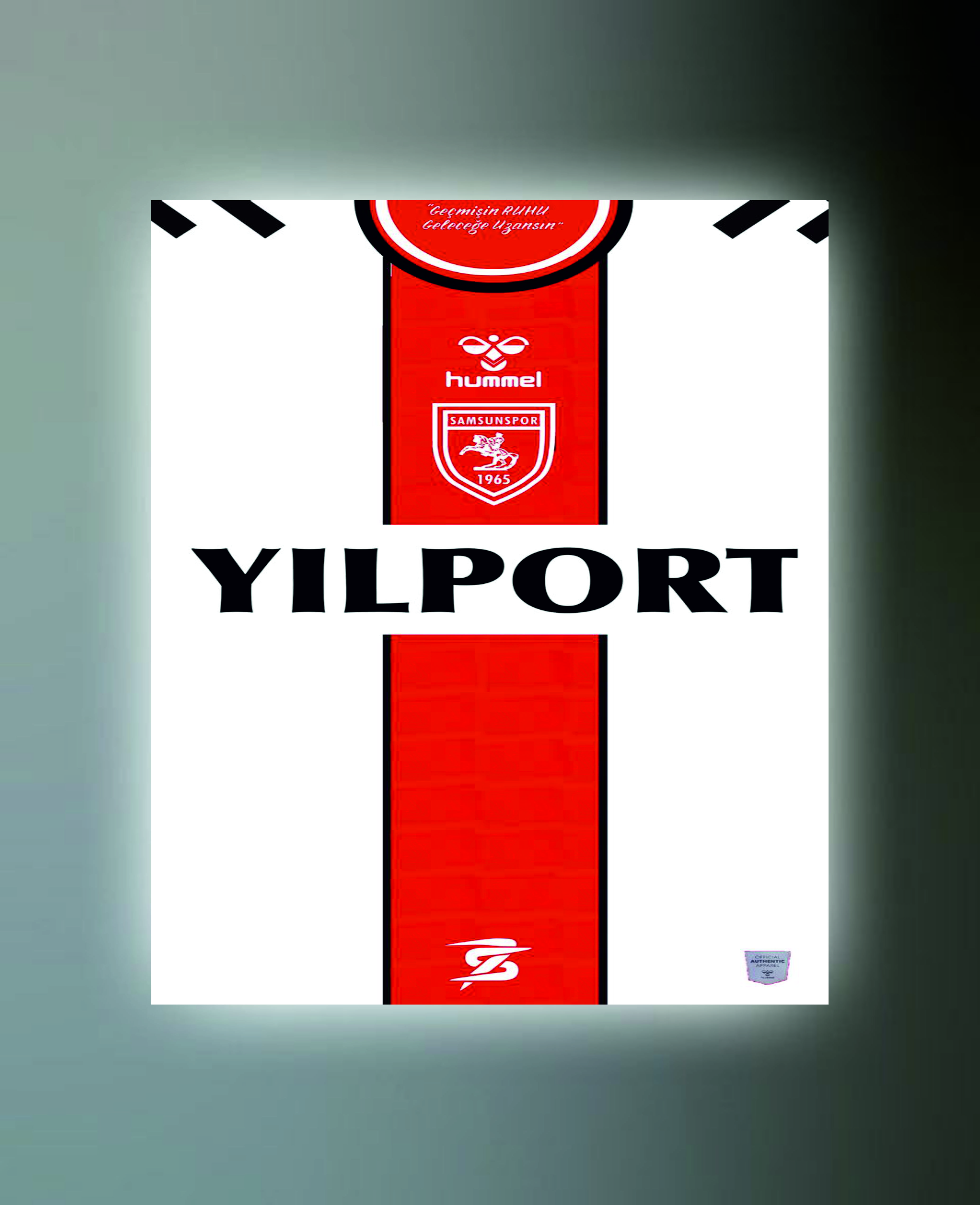 SAMSUNSPOR TABLO (kanvas) 2